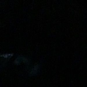 Meet your Posher, Wadih